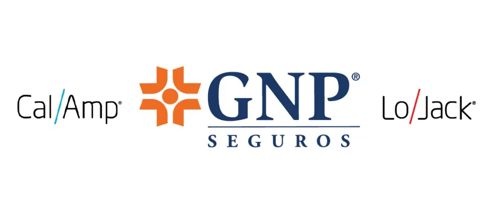 GNP